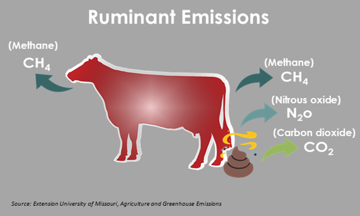 Food Justice: Dairy and the Methane Problem - UUAA